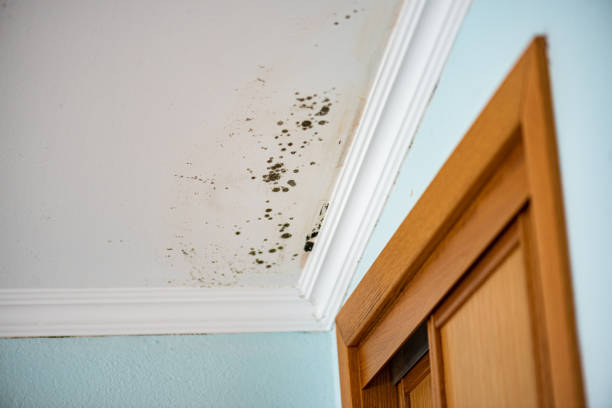 Water Damage Restoration in Santa Rosa, TX